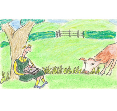 field study