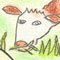 field biology